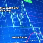 Adra Katılım Endeksine Uygun mu?