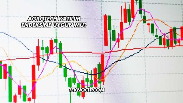 Agrotech Katılım Endeksine Uygun mu?