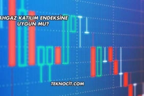 Ahgaz Katılım Endeksine Uygun mu?