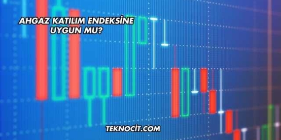Ahgaz Katılım Endeksine Uygun mu?