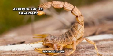 Akrepler Kaç Yıl Yaşarlar?