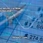 Amerika'da Nelere Yatırım Yapılmalıdır?