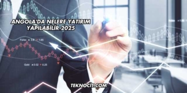 Angola'da Nelere Yatırım Yapılabilir 2025