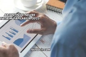 Arjantin'de Nelere Yatırım Yapılabilir 2025