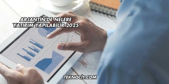 Arjantin’de Nelere Yatırım Yapılabilir 2025