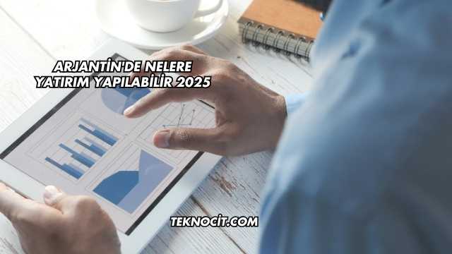 Arjantin'de Nelere Yatırım Yapılabilir 2025