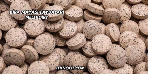 Bira Mayası Faydaları Nelerdir?