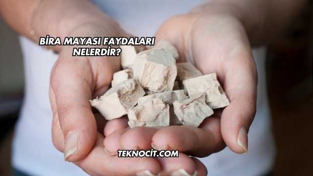 Bira Mayası Faydaları Nelerdir?