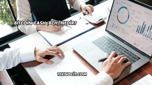 Bitcoin Cash (BCH) Nedir?