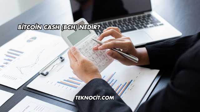 Bitcoin Cash (BCH) Nedir?