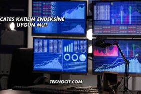 Cates Katılım Endeksine Uygun mu?