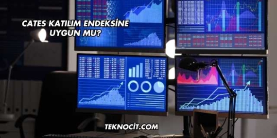 Cates Katılım Endeksine Uygun mu?