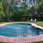 Çilek Havuz Hakkında