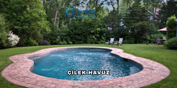 Çilek Havuz Hakkında: Sektörün Öncü Havuz Yapımı Markası