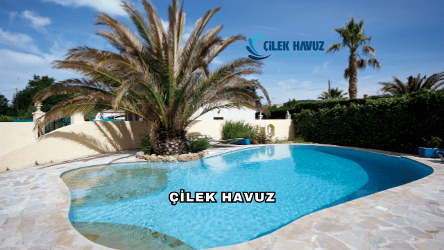 Çilek Havuz Hakkında