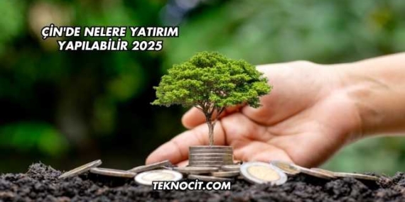 Çin’de Nelere Yatırım Yapılabilir 2025