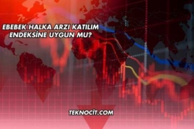 Ebebek Halka Arzı Katılım Endeksine Uygun mu?