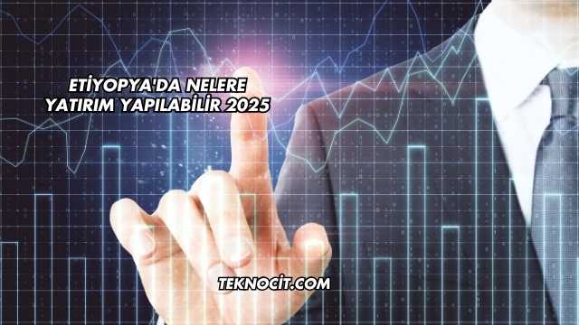 Etiyopya'da Nelere Yatırım Yapılabilir 2025
