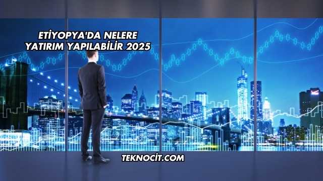 Etiyopya'da Nelere Yatırım Yapılabilir 2025