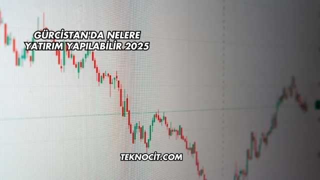 Gürcistan'da Nelere Yatırım Yapılabilir 2025