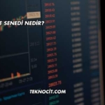 Hisse Senedi Nedir?