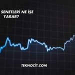 Hisse Senetleri Ne İşe Yarar?