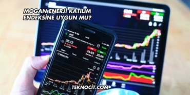 Mogan Enerji Katılım Endeksine Uygun mu?