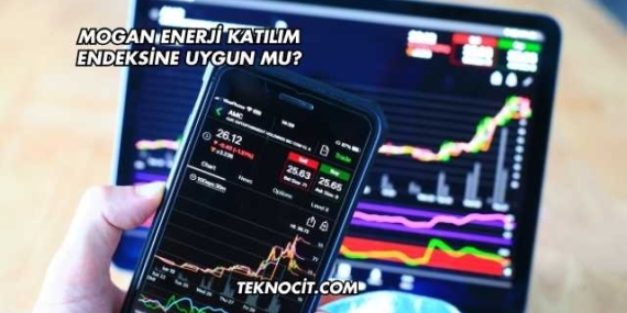 Mogan Enerji Katılım Endeksine Uygun mu?