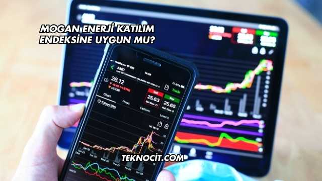 Mogan Enerji Katılım Endeksine Uygun mu?