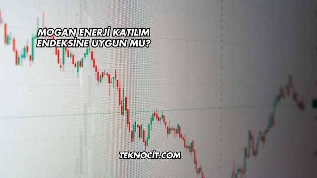 Mogan Enerji Katılım Endeksine Uygun mu?