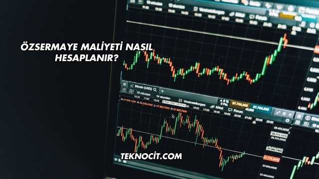 Özsermaye Maliyeti Nasıl Hesaplanır?