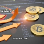 Ripple Nedir?