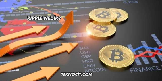 Ripple Nedir?