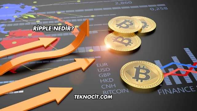 Ripple Nedir?