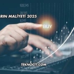 Satışların Maliyeti 2025