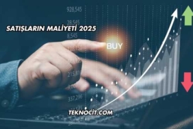 Satışların Maliyeti 2025