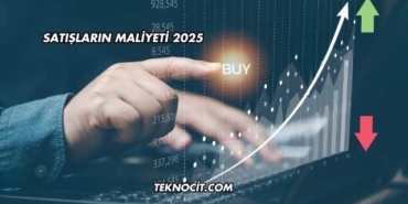Satışların Maliyeti 2025