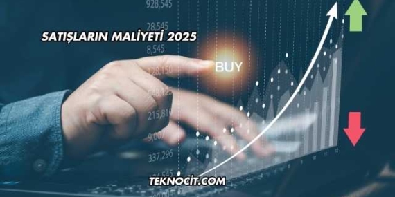 Satışların Maliyeti 2025