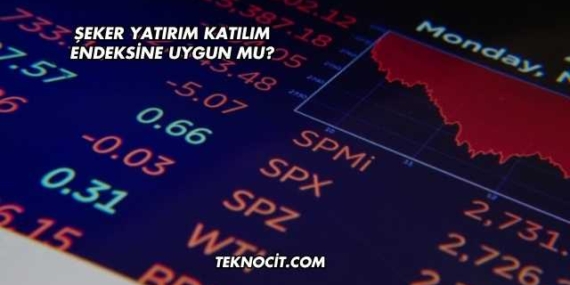 Şeker Yatırım Katılım Endeksine Uygun mu?