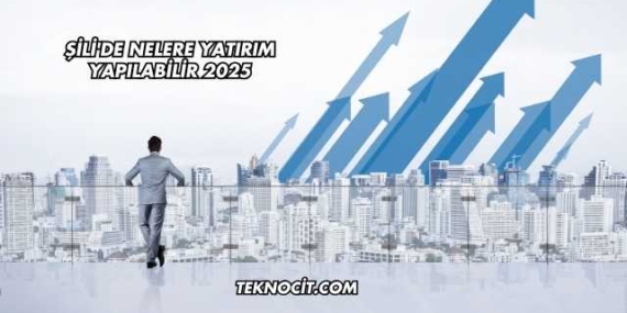 Şili’de Nelere Yatırım Yapılabilir 2025