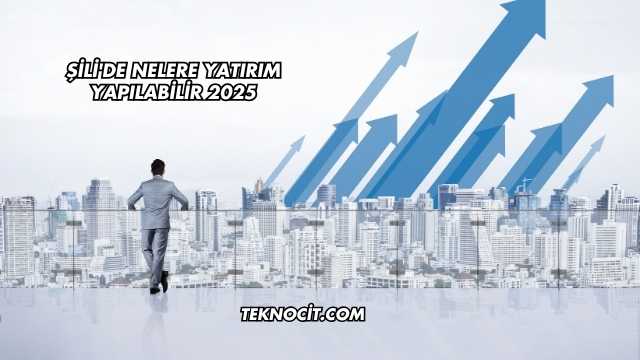 Şili'de Nelere Yatırım Yapılabilir 2025