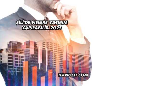 Şili'de Nelere Yatırım Yapılabilir 2025