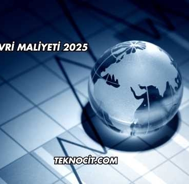 Şirket Devri Maliyeti 2025