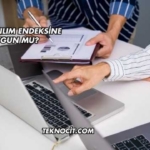 THY Katılım Endeksine Uygun mu?