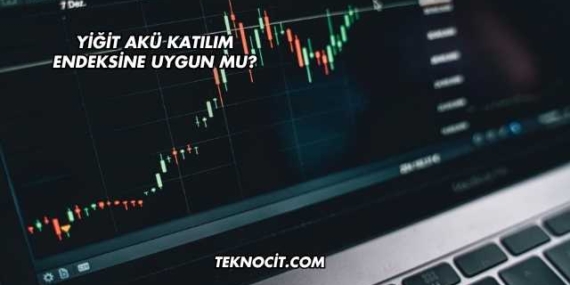 Yiğit Akü Katılım Endeksine Uygun mu?