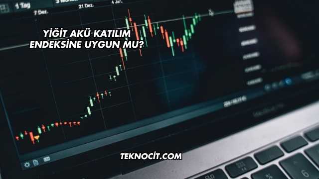 Yiğit Akü Katılım Endeksine Uygun mu?