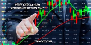 Yiğit Akü Katılım Endeksine Uygun mu?