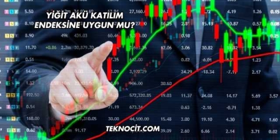 Yiğit Akü Katılım Endeksine Uygun mu?
