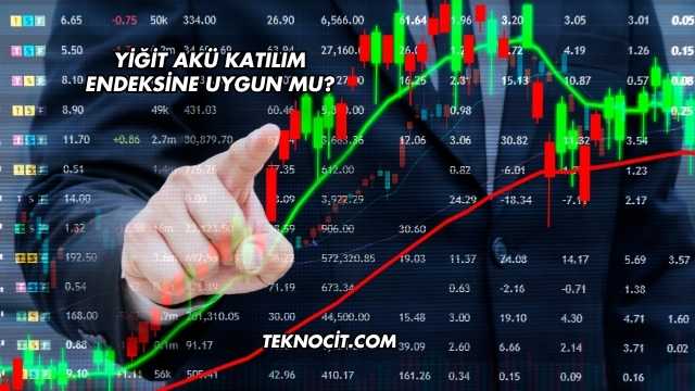 Yiğit Akü Katılım Endeksine Uygun mu?