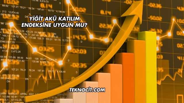 Yiğit Akü Katılım Endeksine Uygun mu?